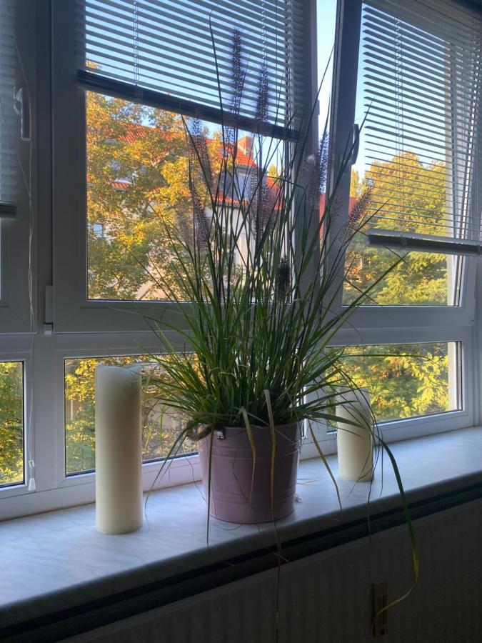 Central City Privatapartment Relax-Inn, Netflix & Sky Tv! Hannover Eksteriør billede